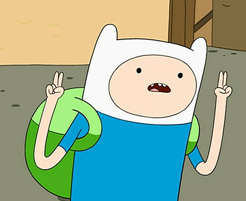 finn br