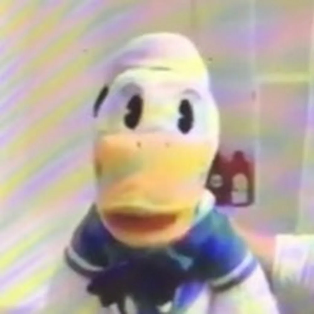 DonaldDucc