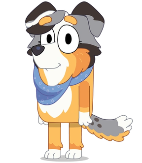 Calypso (Bluey)