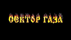 Сектор Газа