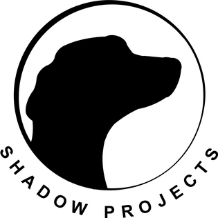Literally the Shadow Projects logo from Bear in the Big Blue House