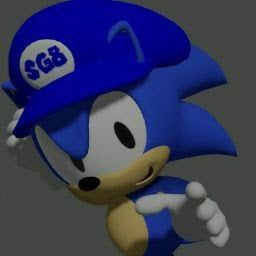 SG8 the Hedgehog