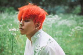 G Dragon
