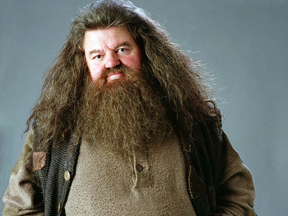 Daddy Hagrid (MagicMarbleRace)