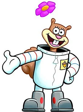 Sandy