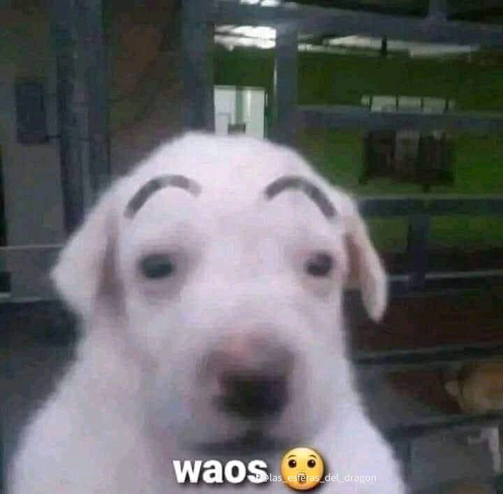 Hugaso