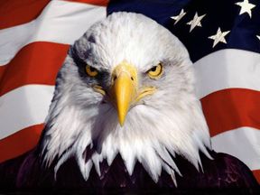 American