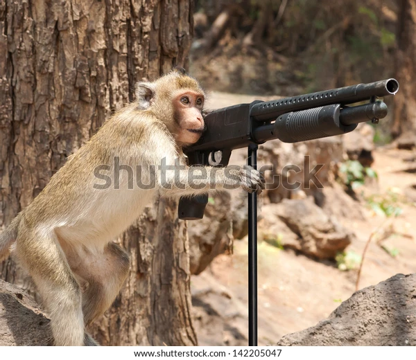 Monke