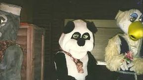Rocky the panda