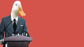 AugustTheDuck