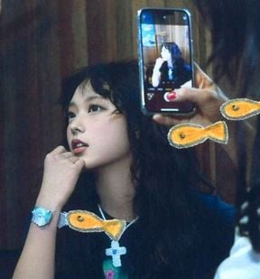 민지