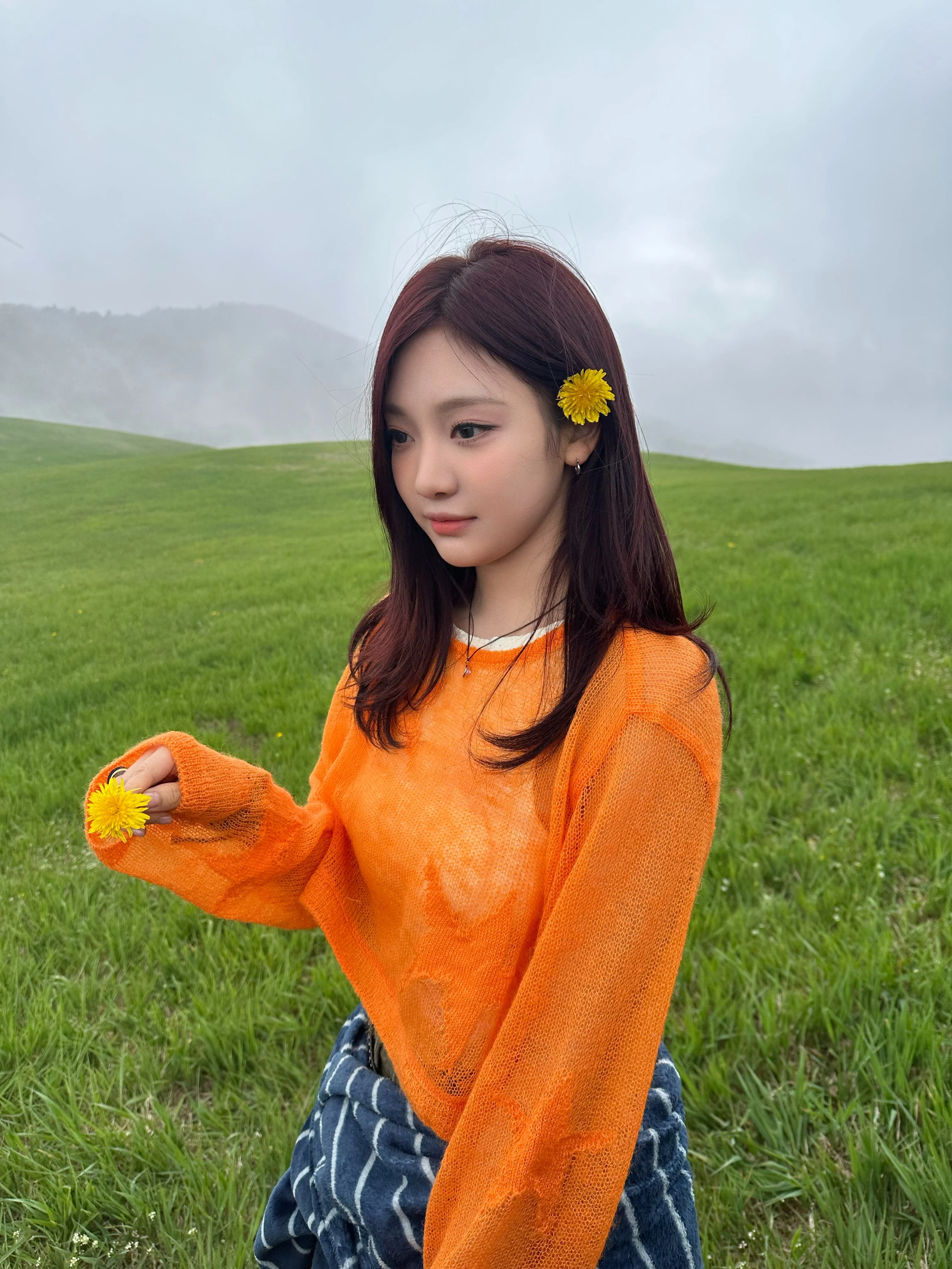 NingNing 4