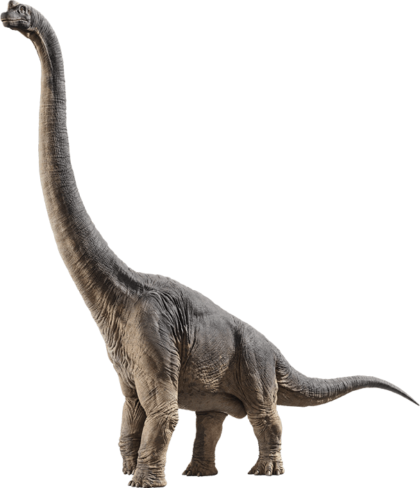 Brachiosaurus
