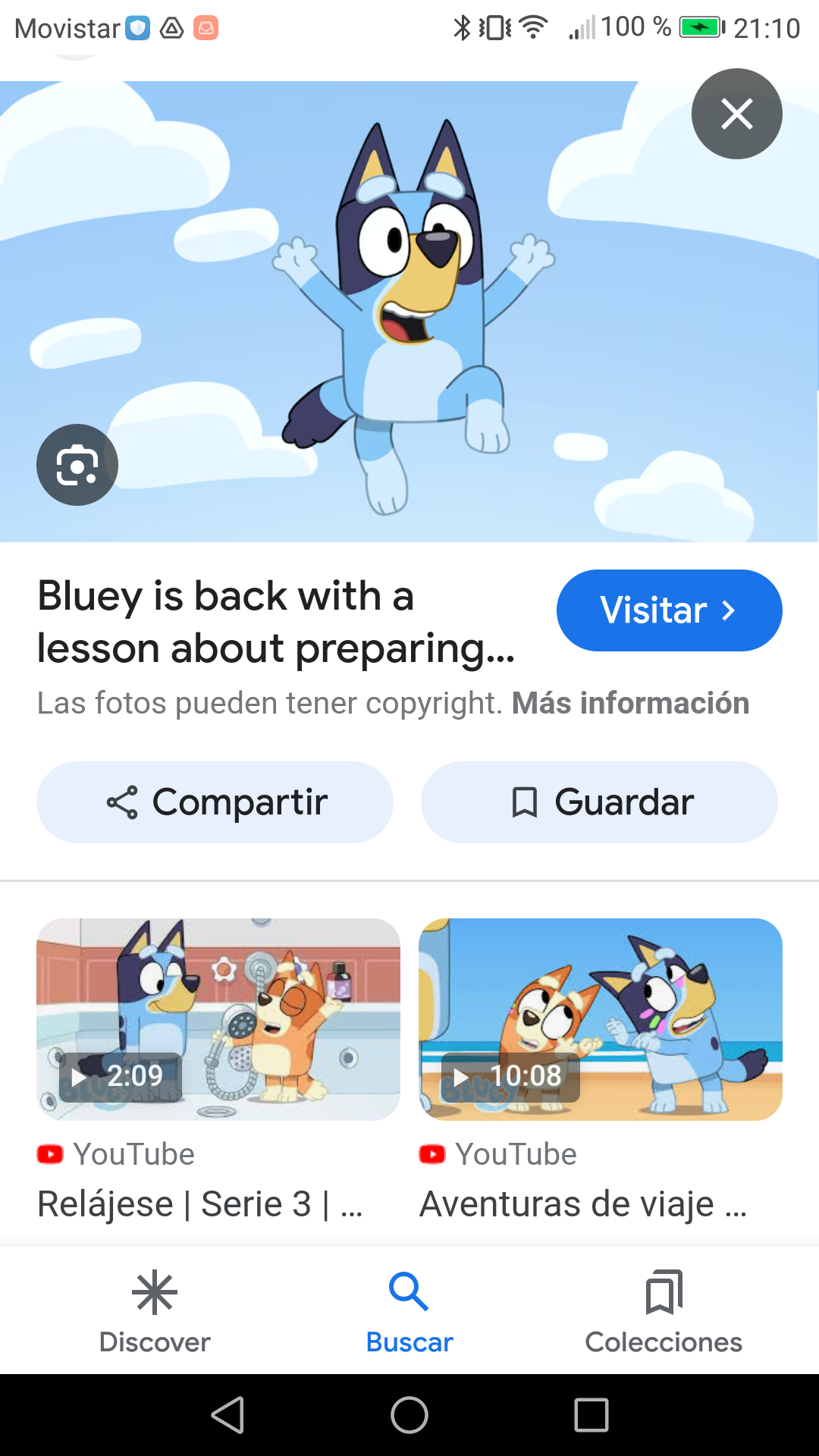 Bluey heeler
