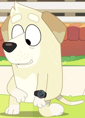 Surfer(Show and Tell)(Bluey)