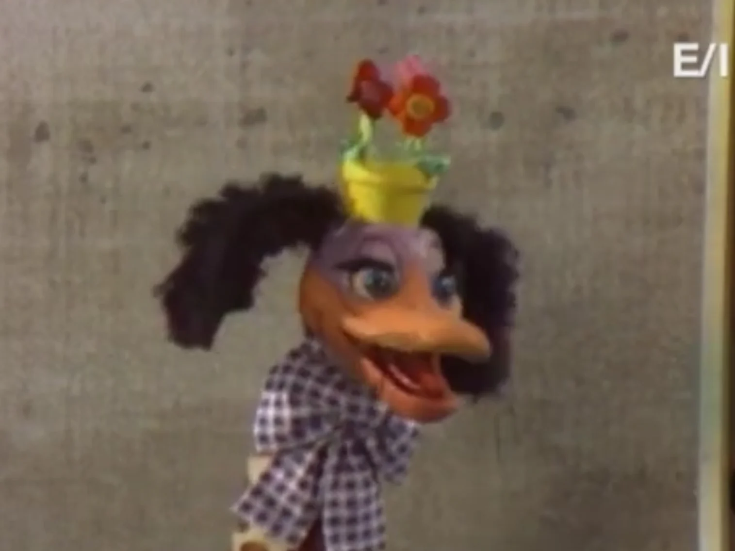 Flub-a-dub (The New Howdy Doody Show)