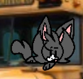 Boy gray cat