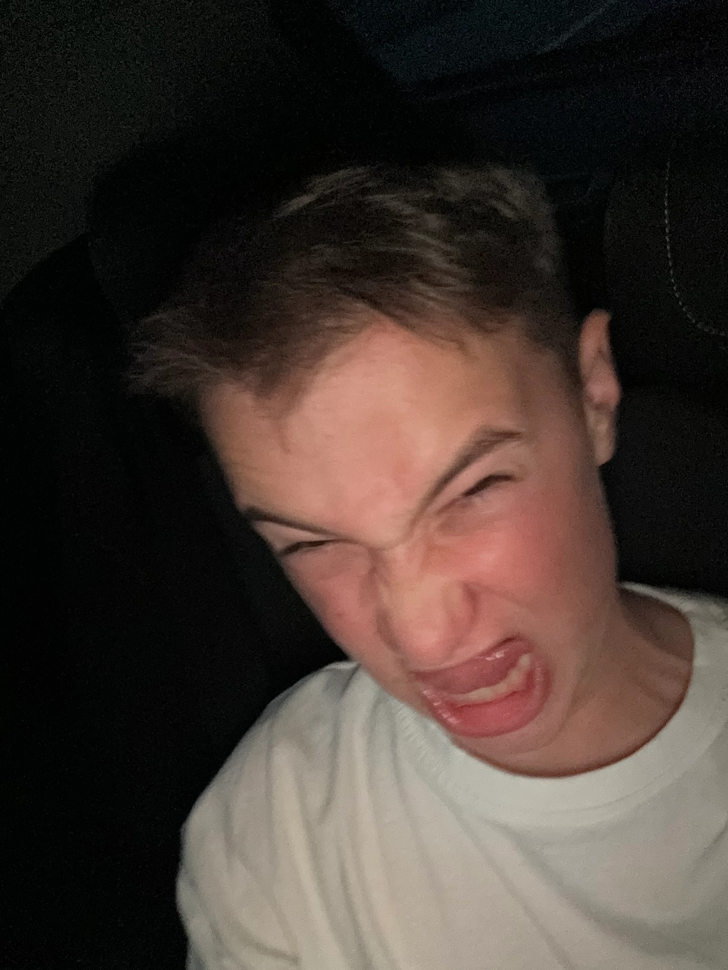 Bulbi