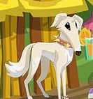 BonkersBorzoi