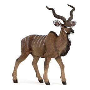 kochou shinobu The Kudu