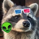 FrvityLoops