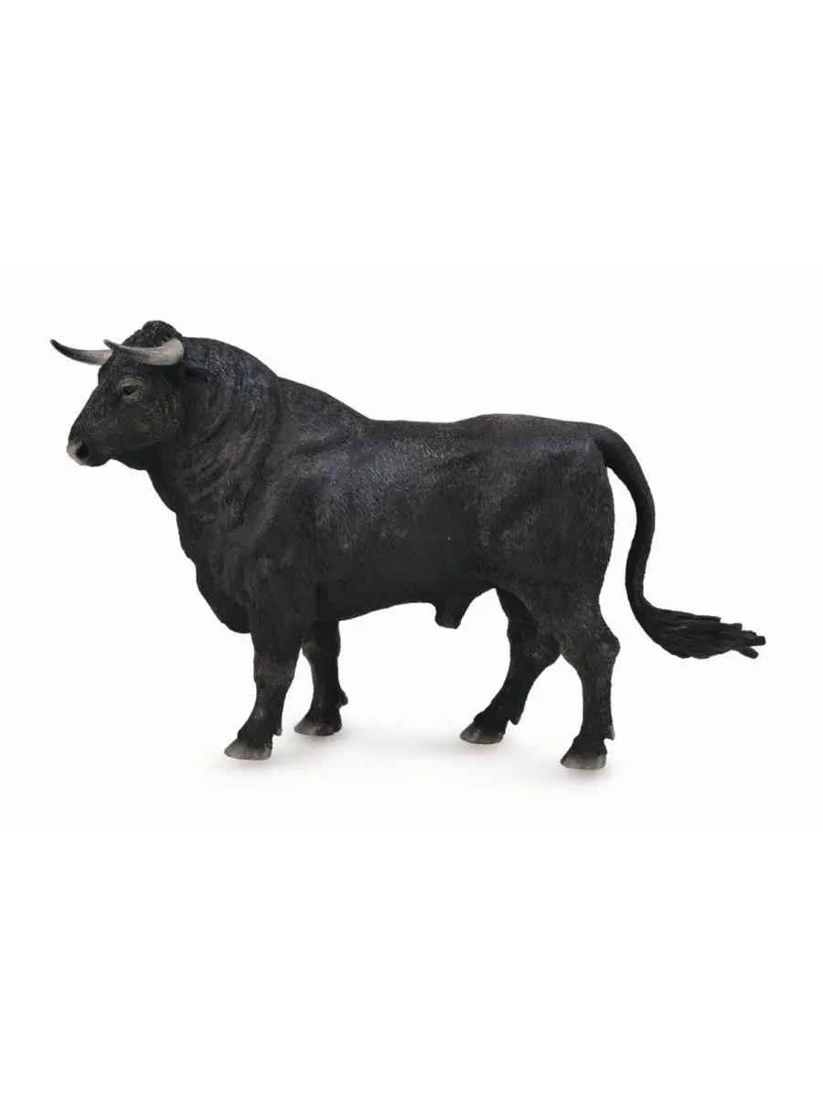 King Jen The Spanish Fighting Bull Standing rus