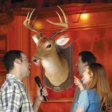 Clint Ford (Voice Of Gemmy Buck and much more)