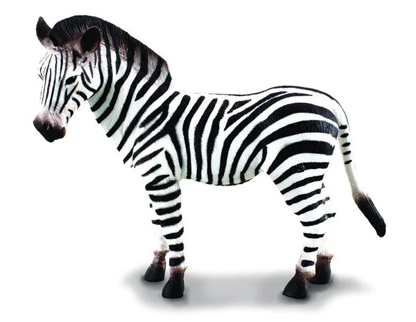 iShinbi The Common Zebra