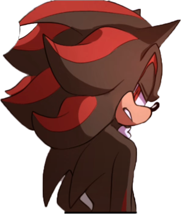 Shadow the Hedgehog(NEW) 🏍
