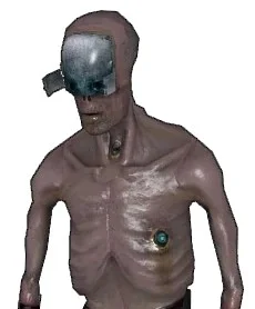 Literally Half-Life 2 Stalker Screams