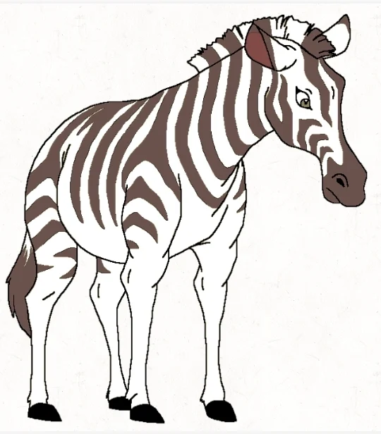 Prince Harold Yoepp The Zebra