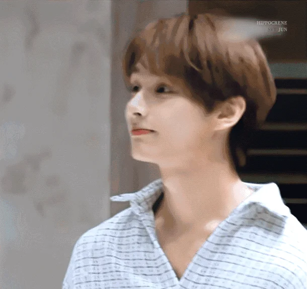Jun from SEVENTEEN