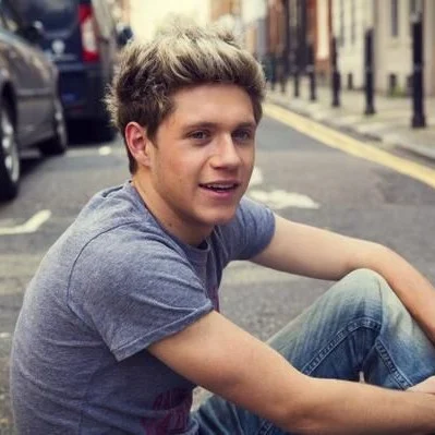 Niall Horan 2013 (Midnight Memories) 