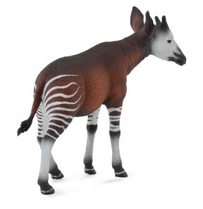 Anko The Okapi Japanese