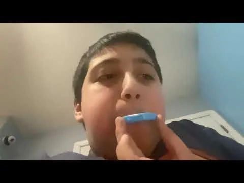 Whistle