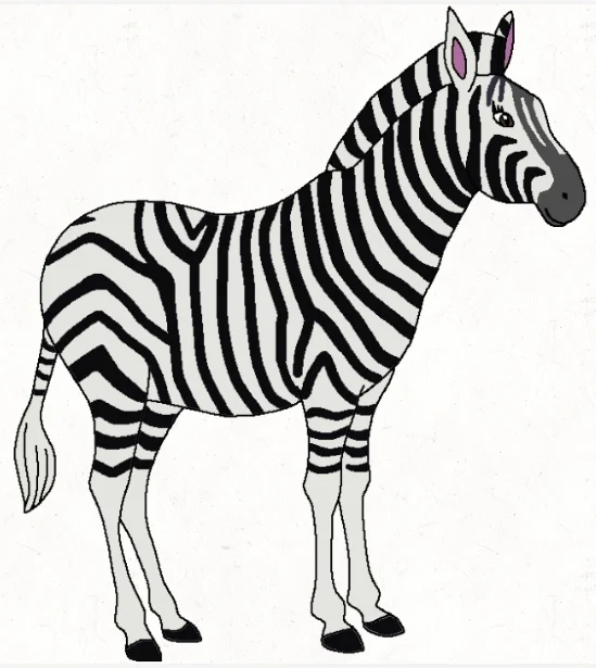 Tiana The Zebra