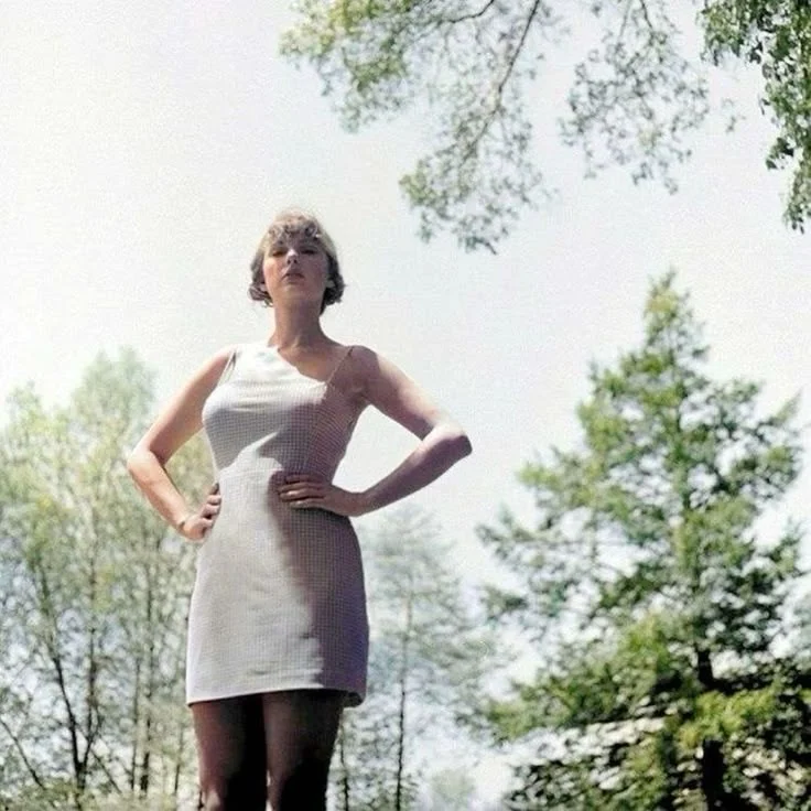 Taylor Swift (Folklore Era)