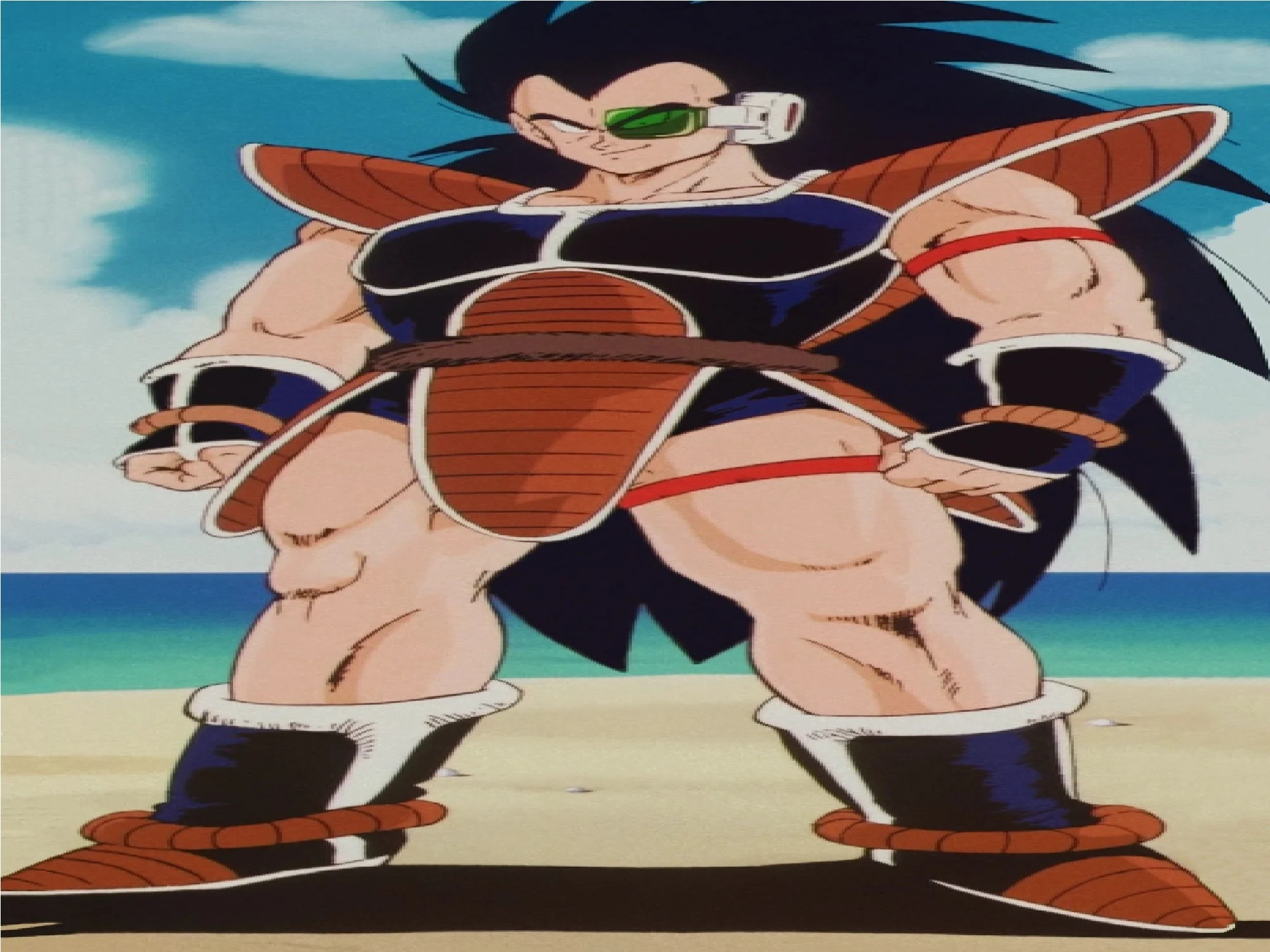 TFS Raditz