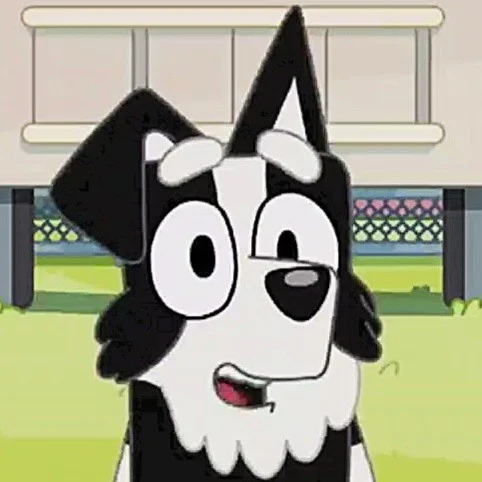 Mackenzie Border Collie - Bluey