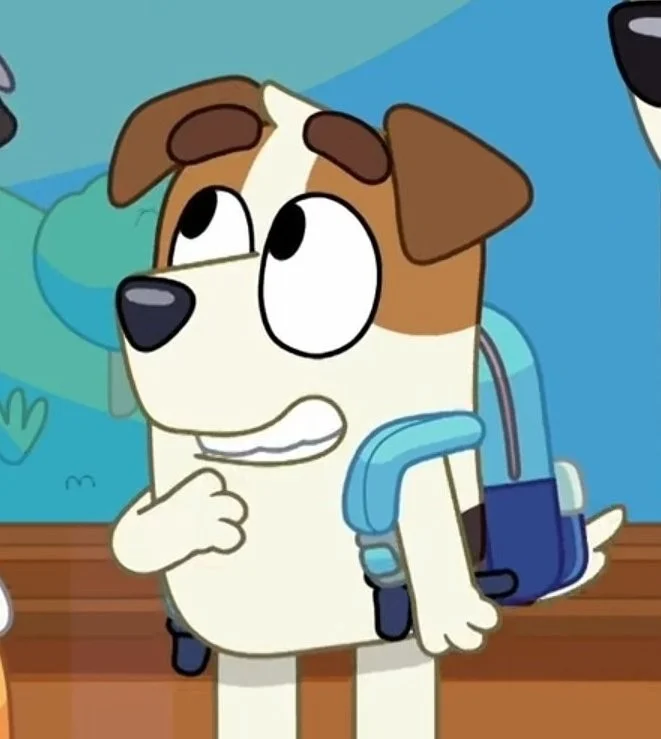 Jack Russell - Bluey