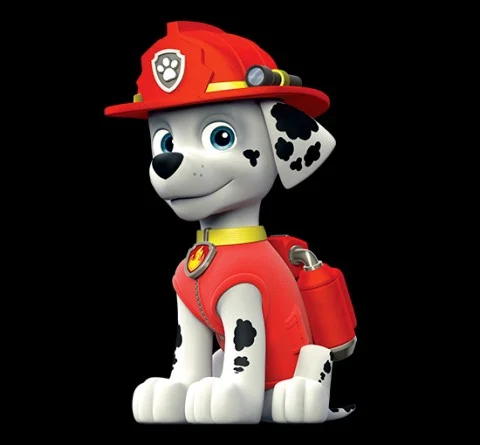 Marshall de paw Patrol español latino