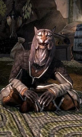 Male Khajiit (Skyrim)