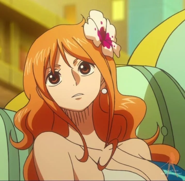 Nami (br) One Piece