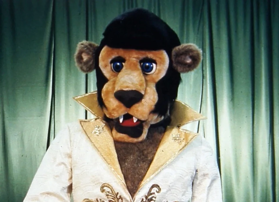 The King (PTT) (Frankie Cie)