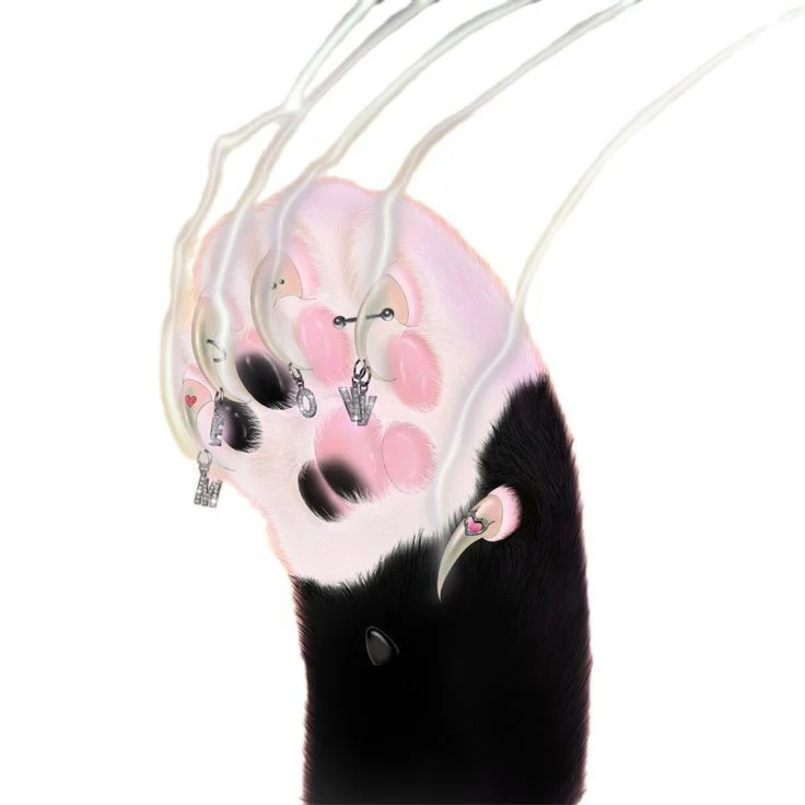 Yumi
