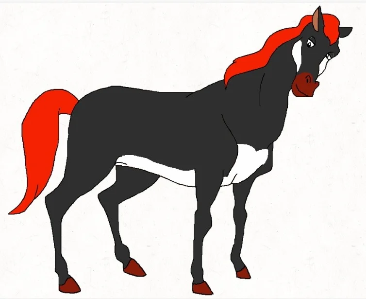 Mr James the Arabian Black Horse