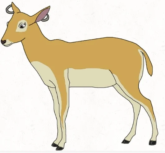 TERRY CONGIE The Blackbuck