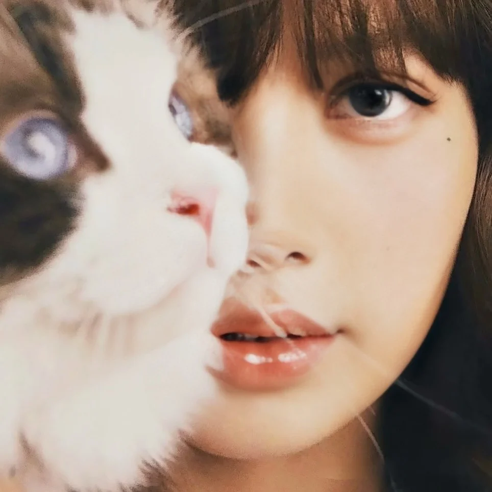 Lisa(2025)