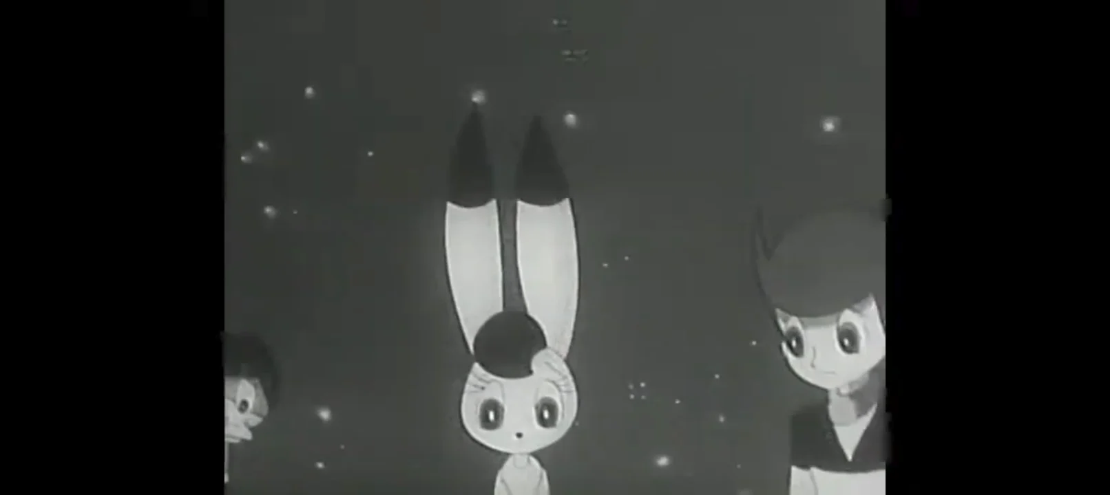 White bunny 