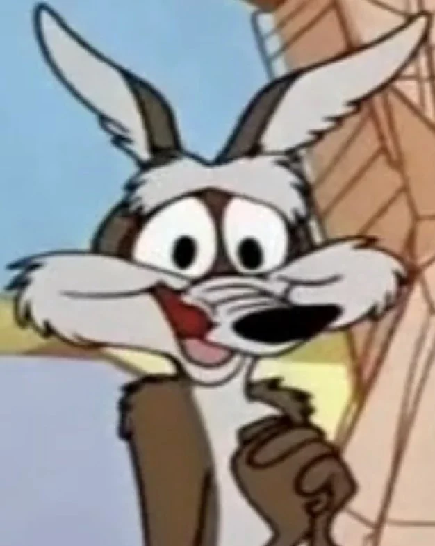 Wile E. Coyote (Second Brazilian Voice) [Garcia Neto] {Looney Tunes}